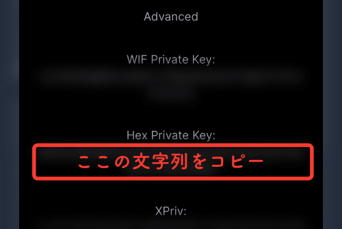 Hex Private Keyをコピー