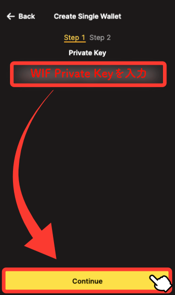 WIF Private Keyを入力